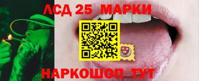 мяу мяу мука Кимры
