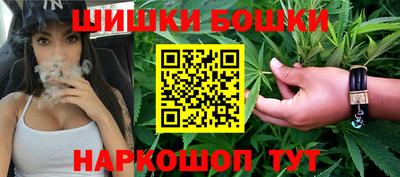 apvp Кингисепп