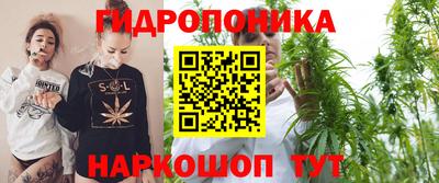 мяу мяу мука Кимры