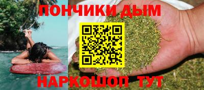 apvp Кингисепп