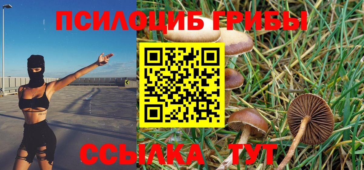 продажа наркотиков  Галлюциногенные грибы GOLDEN TEACHER  Вход с VPN  Качканар 