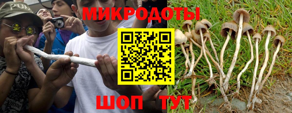 Псилоцибиновые грибы мухоморы Качканар